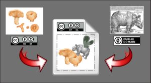 CC BY-SA와 퍼블릭 도메인 결합 시 SA 속성에 의해 CC BY-SA가 강제되는 라이선스 감염의 예