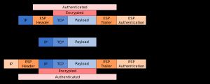 IPsec Encapsulating Security Payload(ESP)의 터널 및 전송 모드 사용