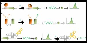 조합 DNA 라이브러리 스크리닝에 사용되는 바이오센서