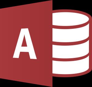 2013년부터 2019년까지의 Access 로고