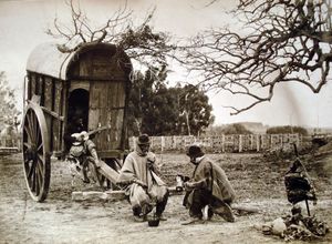 마테}}를 마시고 기타를 치는 가우초