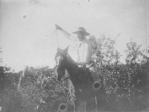 하와이 파니올로 사진