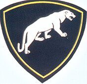 작전 목적 사단