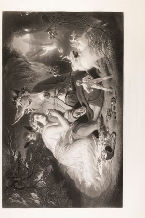 티타니아는 마법으로 당나귀 머리를 얻은 직공 바텀에게 기댄다. 숲속 정자 안에는 요정과 마법에 걸린 동물들이 그들을 둘러싸고 있다.