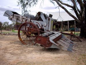 호주, 헨티 지역의 "선샤인" 수확기