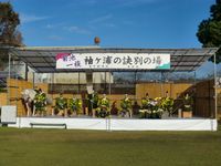 기쿠치 국화 인형극·국화 축제