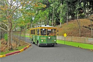 대학을 통과하는 전차 (CAAM)