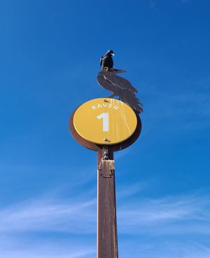 주차장 표지판 위에 앉아 있는 까마귀. 까마귀는 많은 전통에서 영적인 기호이다.