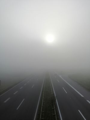 세르비아의 안개