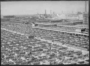 인터내셔널 엠피시어터는 유니언 스톡 야드에 인접해 있었다.