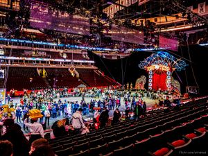 2014년 11월 유나이티드 센터에서 공연하는 링링 브라더스 & 바넘 & 베일리 서커스