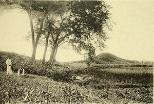 1915년경 대동강면의 전경