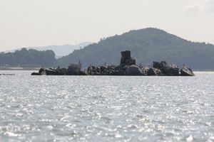 보호된 번식지 및 강화도 갯벌, 대한민국