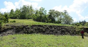 이나방가에 있는 북 보홀 단층의 일부