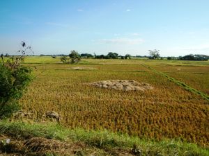 타를라크 시의 풍경