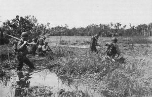 미국 제1기병사단 병력이 레이테 섬의 늪을 건너고 있다