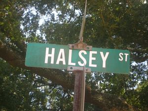루이지애나주 알렉산드리아의 Halsey Street 표지판