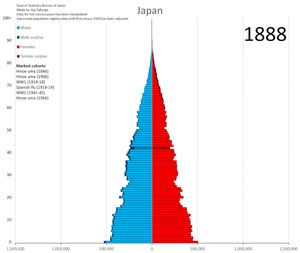 인구 피라미드의 추이 (1888년부터 2019년)