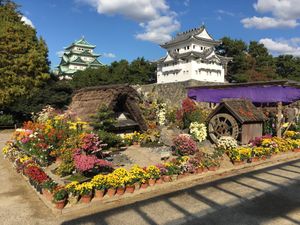 2018 나고야성 국화 전시회