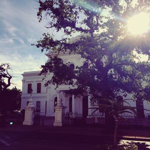 스텔렌보쉬 대학교 법학부