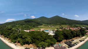 완도 맹선리 상록수림