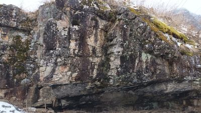 정선군 남면 무릉리 문은단로 8 부근의 묘봉층