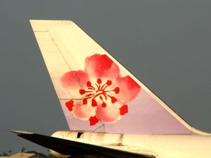 수직 꼬리 날개에 크게 그려진 매화 로고