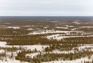 투쿨란 모래 지역은 중앙 야쿠티아 저지대의 타이가에 위치한다.