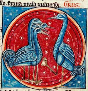 영국 필사본 할리 베스티어리(13세기)의 경계하는 두루미의 전설 삽화: 밤에 두루미들은 차례로 적을 감시한다.