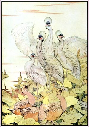 이솝 우화에서 기러기와 두루미의 우화에 대한 1909년 삽화: 기러기와 두루미는 같은 풀밭에서 먹이를 먹고 있었는데, 새잡이가 나타나 그물을 쳐서 그들을 잡으려 했다. 두루미는 날개가 가벼워 그가 접근하자 날아가 버렸지만, 기러기는 몸집이 둔하고 무거워 잡히고 말았다.