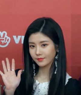 2019년 1월 골든디스크 시상식 레드카펫