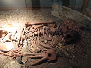 어린 왕자 유해