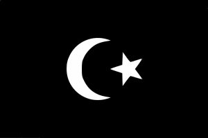 세누시 교단의 깃발