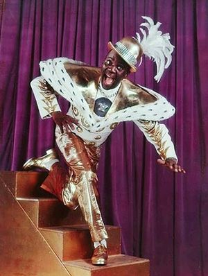 핫 미카도에서 로빈슨