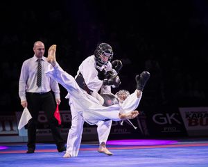 프랑스에서 진행된 일본 권법 시범