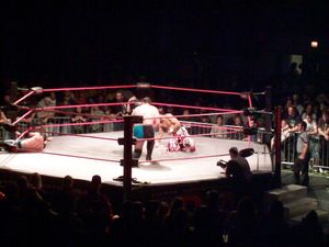 TNA 레슬링은 역사상 상당 기간 동안 육각형 링을 사용했다.