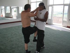 사바추이(Si Ba Chui) 형태에서 '잉 줘(Ying Zhua)'(매의 발톱) 기술을 시연하는 양판성(楊凡生) 사부(1949–2014). 시연되는 스타일은 현대 형의권의 전신인 대(戴) 스타일의 심의육합권이다. 중국 산서성 태곡현에 있는 국제 심의도(Xinyi-Dao) 연맹 본부에서 촬영. 2004년. 시연을 받는 제자는 고(故) 양 사부의 제자인 수단 제퍼스이다.