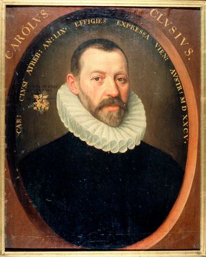 카롤루스 클루시우스