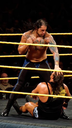 2015년 3월 라이노와 대결하는 코빈