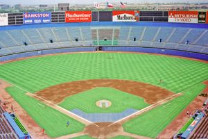 알링턴 스타디움(1972년부터 1993년까지 홈 구장)