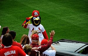 세인트루이스 카디널스의 마스코트 프레드버드(Fredbird), 2013