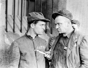 모리스와 월리스 비리는 더 빅 하우스(1930)에 출연했다.