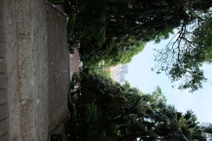 사수공원}} - 1995년까지 천청의 옛 묘소이자 기념관