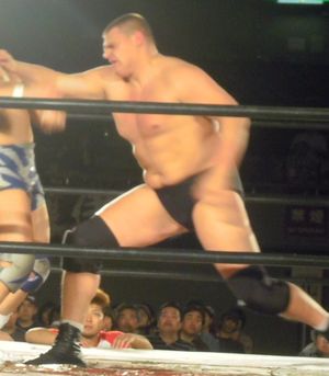 2012년 5월 BJW 쇼에서 요시히토 사사키에게 손바닥치기를 가하는 빅 반 월터