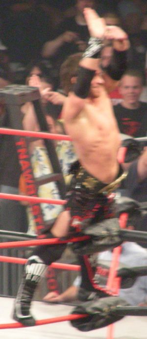 세이빈은 전 IWGP 주니어 헤비웨이트 태그팀 챔피언(IWGP Junior Heavyweight Tag Team Champion)이다.