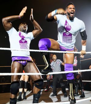 2015년 하우스 쇼에서의 프라임 타임 플레이어스