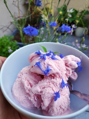 딸기 아이스크림 장식 재료로 사용된 수레국화 생 꽃잎