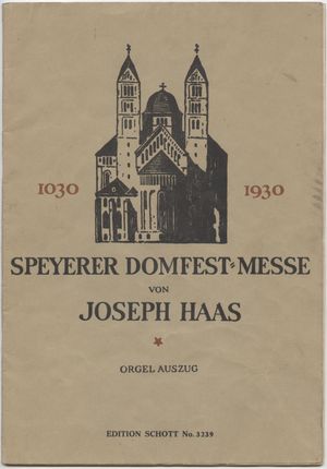 Speyerer Domfestmesse 표지
