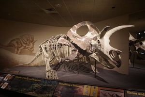 골격 마운트 (MPM VP6841), 밀워키