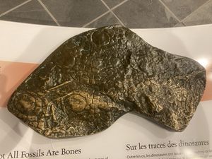 피부 인상의 복제